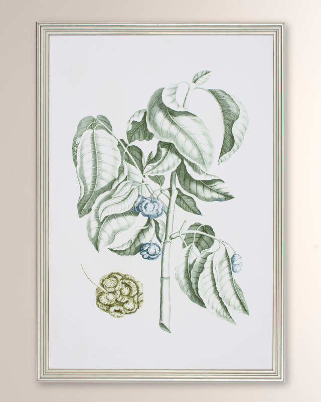 "Buchoz Tropical V" Framed Giclee
